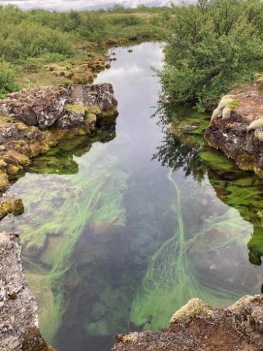 A stream