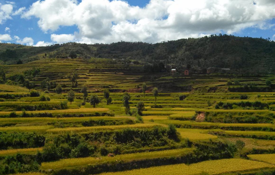 the lush green vegetation along a tiered mountainside