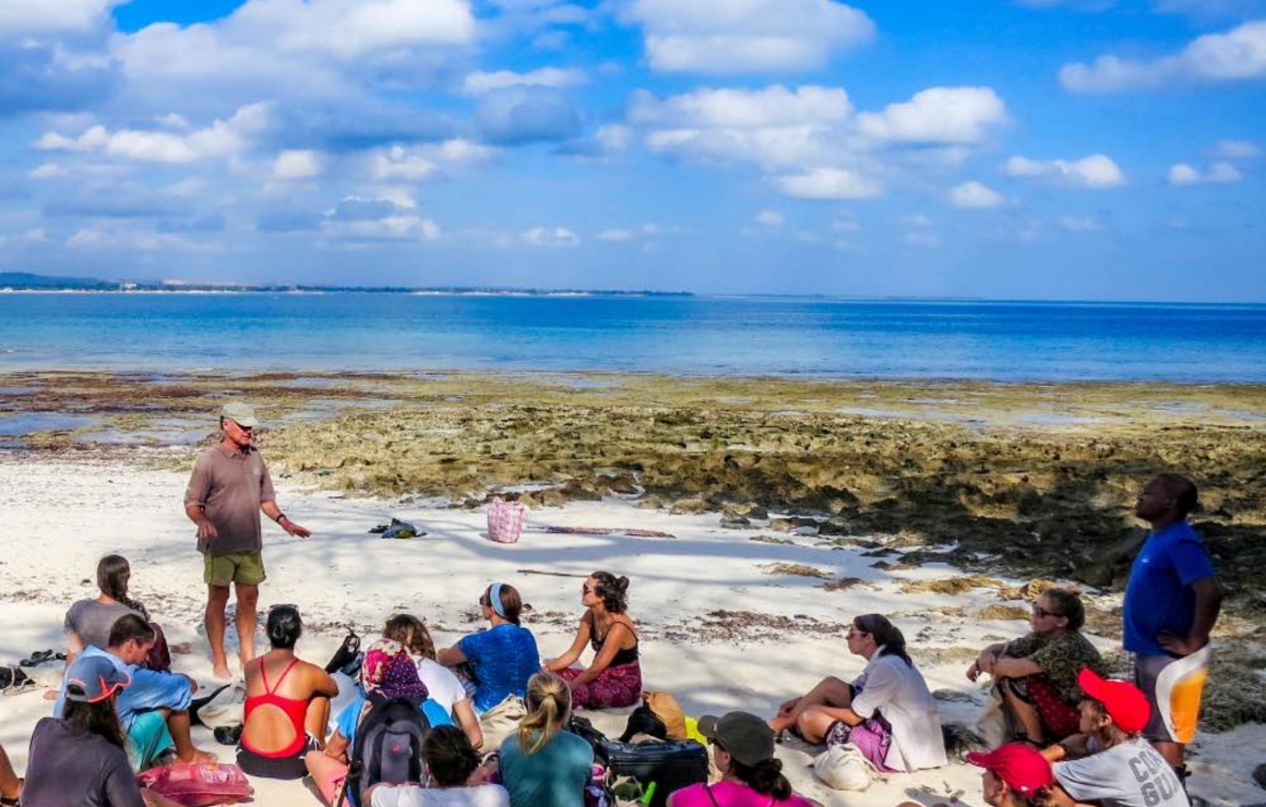 students sitting on a beach listening to a standing lecturer
