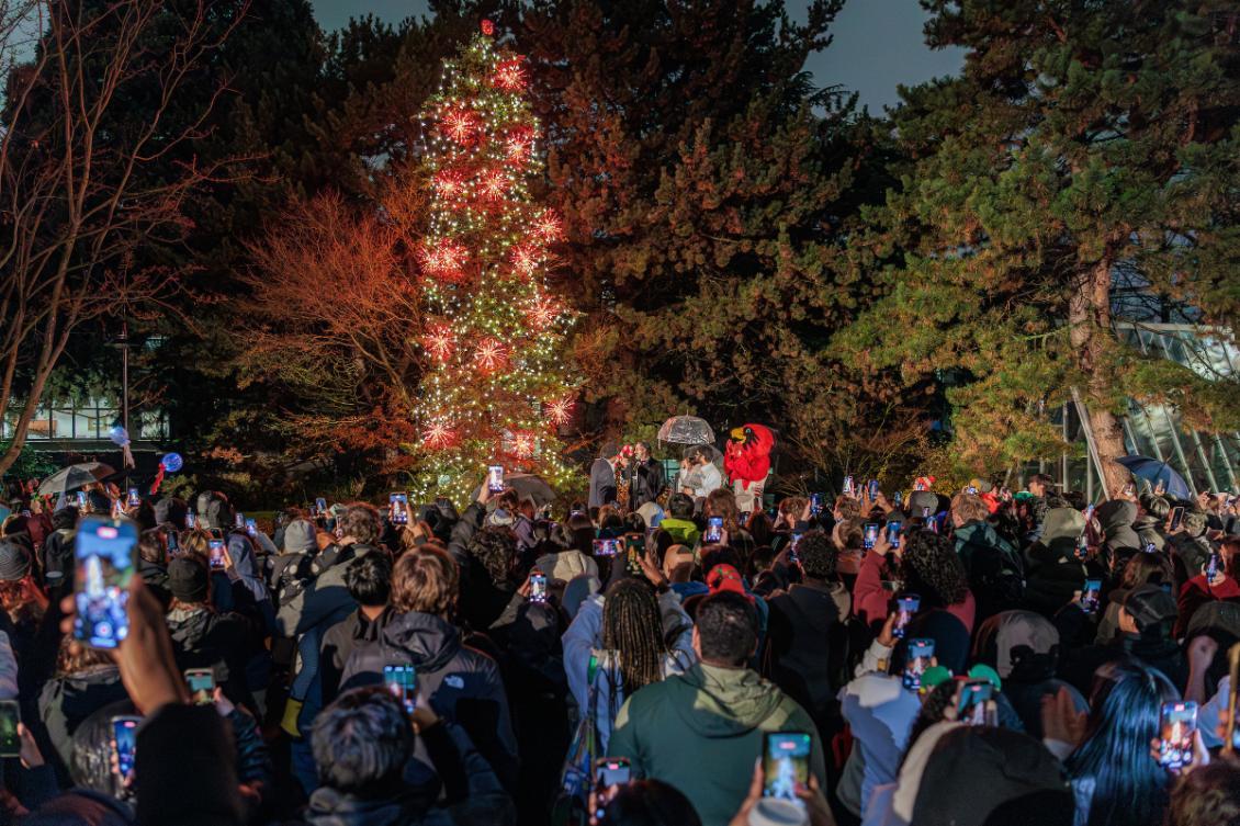 Christmas tree main image