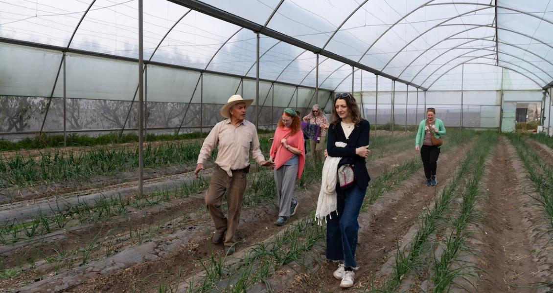 Staff walk with ag worker in Mexico